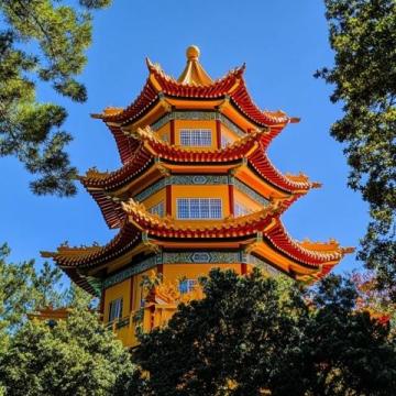 深圳爸媽退休生活：每月13500元養(yǎng)老金，暢游美食天堂車公廟