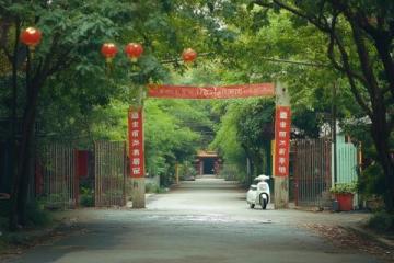 深圳爸媽退休生活：每月13500元養(yǎng)老金，暢游美食天堂車公廟