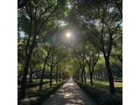 回憶家鄉(xiāng)的風光：廣州天河公園