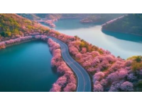五一杭州小眾游玩路線推薦：避開人潮，體驗寧靜美景