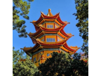 深圳爸媽退休生活：每月13500元養(yǎng)老金，暢游美食天堂車公廟