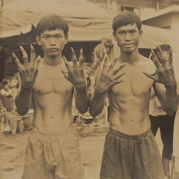 1950年前后，印尼當(dāng)時(shí)發(fā)生了嚴(yán)重的排華事件，許多華僑回到祖國