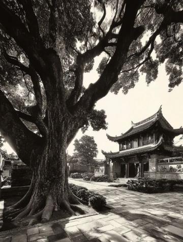 泉州行程總結(jié):再游泉州,又回首福建之旅