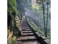 膽小慎入！探索湖北五峰柴埠溪大峽谷的驚險之旅