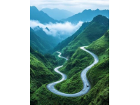 海外創(chuàng)業(yè)輝煌路：兩年內(nèi)如何讓夢(mèng)想照進(jìn)現(xiàn)實(shí)——從阿聯(lián)酋的水果市場(chǎng)到勞斯萊斯座駕