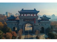 探尋寧波24小時：歷史、美食與美景的完美融合之旅