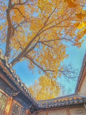 徐州祥海砂鍋居：三十年老字號，非遺傳承的美味探索