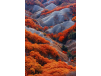 不容錯(cuò)過的視覺盛宴！東川紅土地?cái)z影指南，打翻的調(diào)色盤等你來發(fā)現(xiàn)