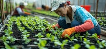 護(hù)苗知識(shí)科普游山西村解鎖知識(shí)密碼,助力青春成長(zhǎng)