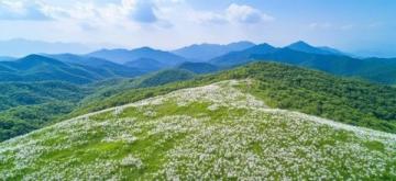 探索谷城自然奇景——老軍山的歷史、文化與四季風(fēng)光之旅
