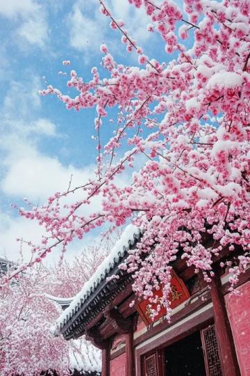 昆明春天美好季節(jié)！3月-6月打卡地美食推薦