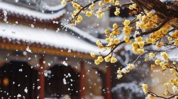雅丹梨花盛開：春日里的雪景詩(shī)篇，純凈而浪漫的世外桃源