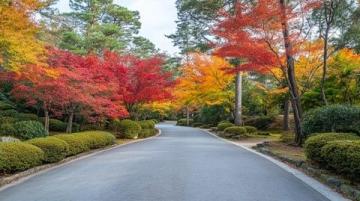 秋日漫步：美食相伴的公園游記，美景定格在鏡頭中
