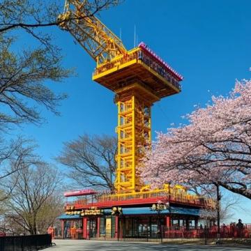 青島三天兩晚原創(chuàng)游玩攻略，結(jié)合青島經(jīng)典景點(diǎn)、特色美食和文化體驗(yàn)，合理規(guī)劃行程