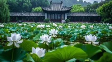 蘇州兩天一夜行程: 蘇州古典園林、昆亭、獅子林等名景盡收眼底