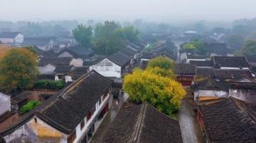 江南明珠，震澤古鎮(zhèn)的獨特魅力