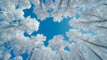 在白雪皚皚的世界中，感受唯一的絢麗美景