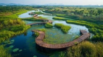 清遠(yuǎn)飛來湖濕地公園免費(fèi)開放，特惠活動及交通、住宿指南
