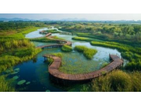 清遠(yuǎn)飛來湖濕地公園免費(fèi)開放，特惠活動(dòng)及交通、住宿指南