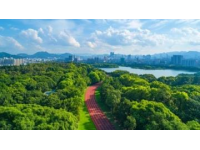 粵港澳買家必看！清遠美林湖：優(yōu)質房源、教育資源及生活便利性全覽