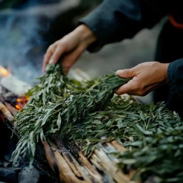 五月炎夏必備：酸辣裙帶苗拌蕨根粉，開胃又健康！