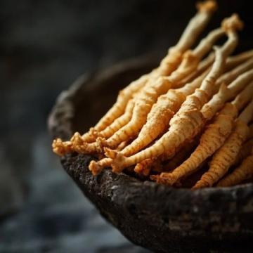 舌尖上的蓮藕:一場(chǎng)從根到籽的美味之旅