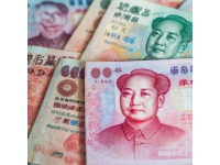 掌握金絲楠木鑒賞與保養(yǎng)秘籍，成為專業(yè)收藏家
