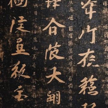 早些年，當(dāng)我初次聽到海月之名時(shí)，我覺得有點(diǎn)不可思議,古人竟然把這樣蘊(yùn)含詩(shī)意的名