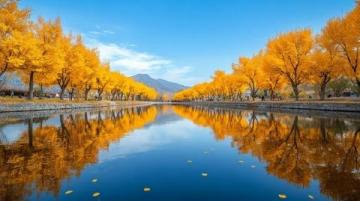 秋日韶關(guān)帽子峰：金葉滿(mǎn)天，靜謐之美等你來(lái)賞