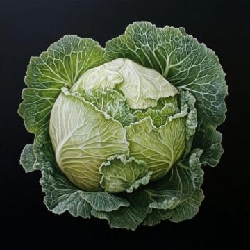 最終解密：被東北人惦記一整年的大白菜，原來是這么回事！