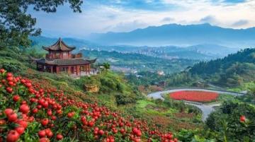 西北風(fēng)味瑰寶:天水漿水的魅力