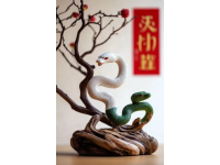 蛇年玄學(xué)指南：避免這些禁忌讓你運勢翻倍！