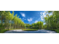 日照竹洞天風(fēng)景區(qū)深度游：探秘竹文化與民族風(fēng)情之旅攻略