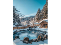 喜歡溫泉，向往安波，雪域溫泉夢(mèng)（三）意外邂逅