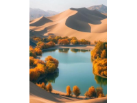 石家莊坐地鐵去正定，觀賞滹沱河秋韻風(fēng)景，體驗(yàn)云南洱海胡楊林的味道