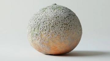 Mandarin-果子解謎：探尋“Pomelo”與柚子之間的奇妙聯(lián)系