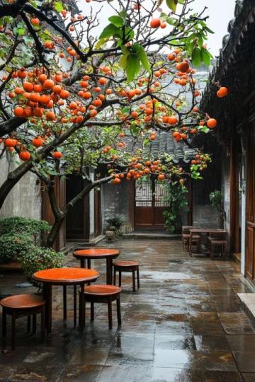 棗莊:探尋兩千年的石榴文化底蘊(yùn)與城市魅力