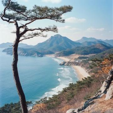 探索華東純凈海濱：東臺(tái)黃海森林公園，國(guó)家級(jí)生態(tài)仙境之旅