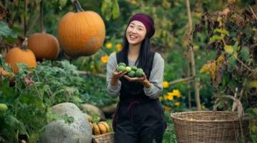 趙縣美食探秘:家鄉(xiāng)蒸菜的傳統(tǒng)韻味與創(chuàng)新之旅