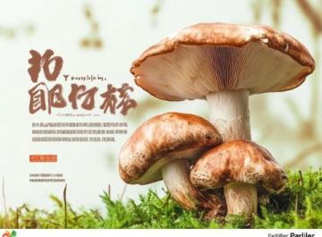 夏日尋味楚雄:探秘山菌美食與彝人古鎮(zhèn)風情之旅