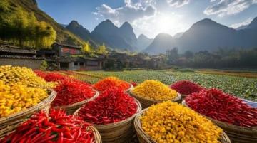 廣西五地風(fēng)味各異，桂北至桂西，品嘗八大特色美食區(qū)