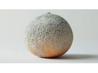 Mandarin-果子解謎：探尋“Pomelo”與柚子之間的奇妙聯(lián)系