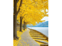 揭秘瀘沽湖：不止水性楊花！探尋人間仙境的深度旅行攻略