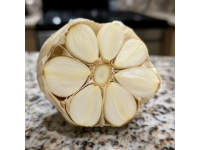 輕松掌握大蒜保存秘籍，兩大妙招防干癟發(fā)芽！