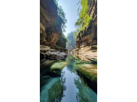 探索華東純凈海濱：東臺(tái)黃海森林公園，國(guó)家級(jí)生態(tài)仙境之旅