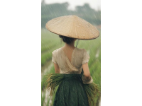 鄉(xiāng)村生活美學(xué)：詩意日常，打造高級(jí)感的儀式之美