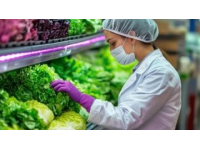 筑牢食品安全防線：源頭監(jiān)管、科技創(chuàng)新與公眾參與