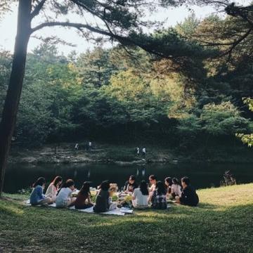 80后安徽農(nóng)村童年:野炊趣事與田野里的自然美味
