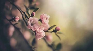 春季養(yǎng)生知識點(diǎn)(五大養(yǎng)生注意事項(xiàng))