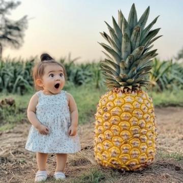 南寧人夏天愛吃水果撈你平時怎么吃？